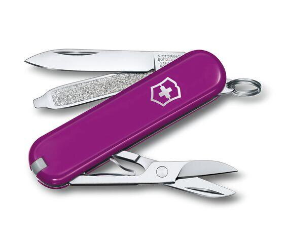 Victorinox Classic SD Colors Tasty grape